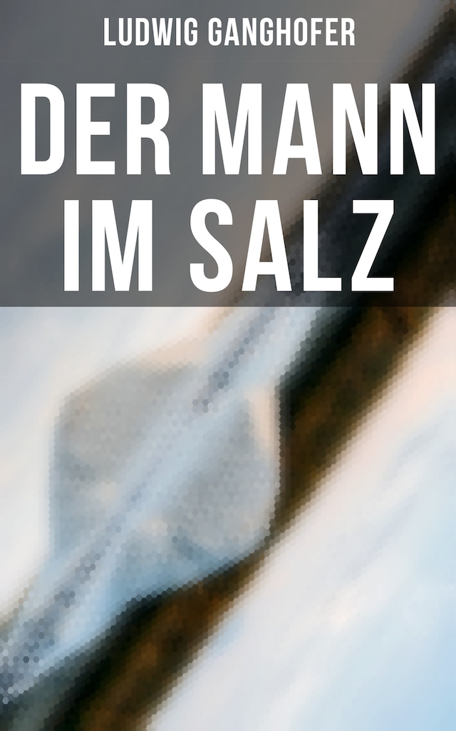 Boekomslag van Der Mann im Salz