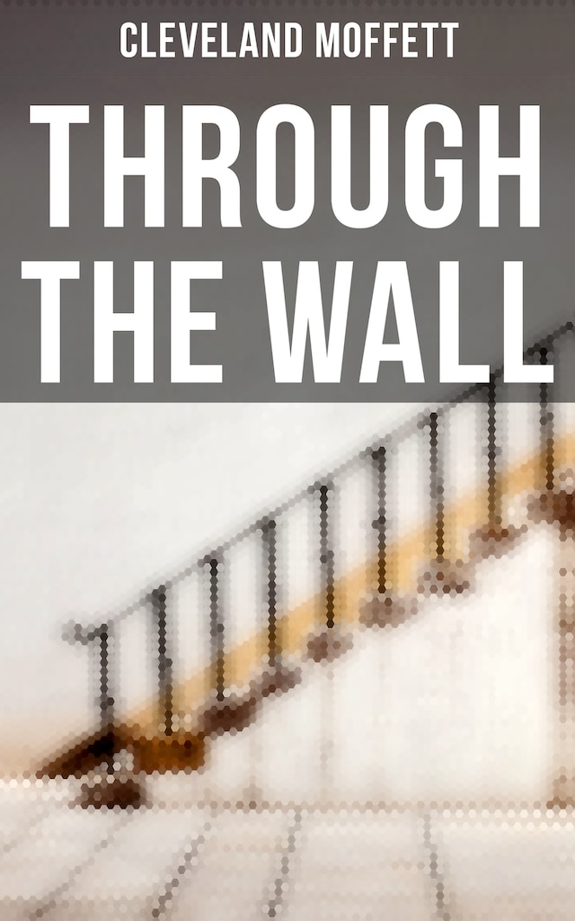 Book cover for Through the Wall