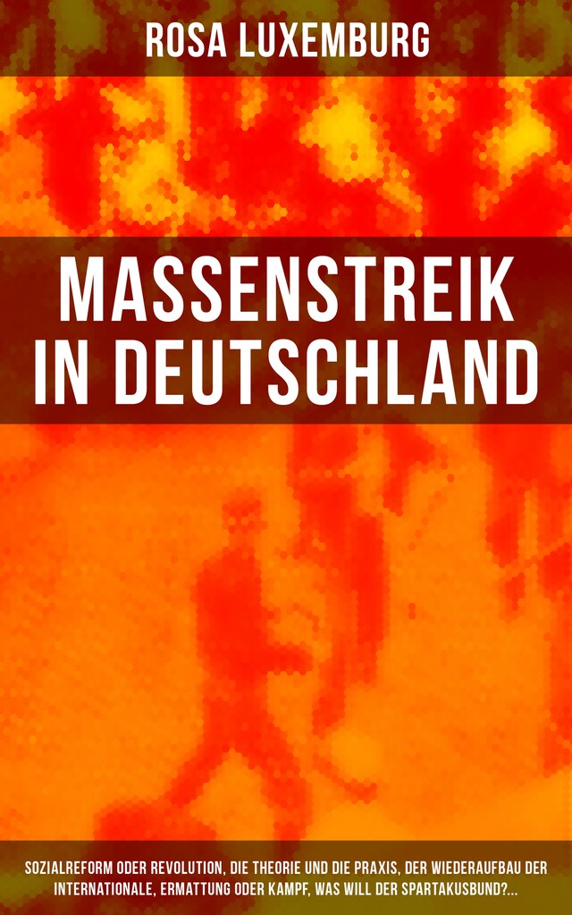 Boekomslag van Massenstreik in Deutschland