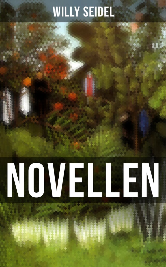 Book cover for Willy Seidel: Novellen