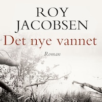 Det nye vannet