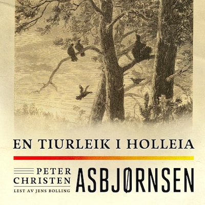 En tiurleik i Holleia