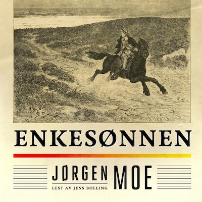 Enkesønnen