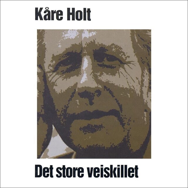 Bokomslag for Det store veiskillet