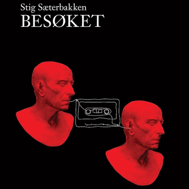 Bokomslag for Besøket