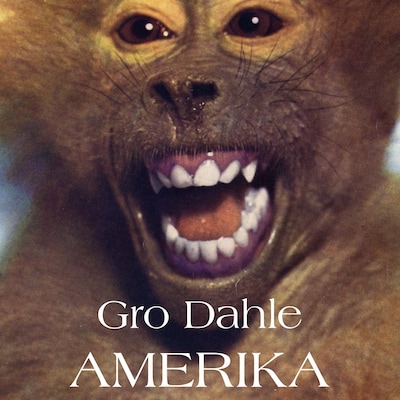 Amerika