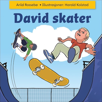 David skater – lydbok – Arild Rossebø