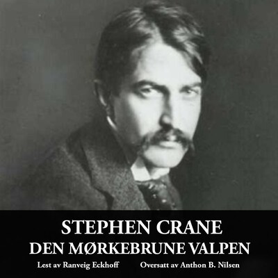 Den mørkebrune valpen