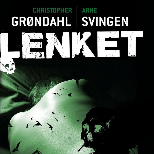 Bokomslag for Lenket