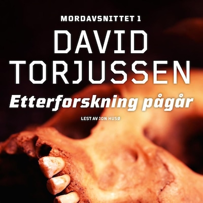 Etterforskning pågår
