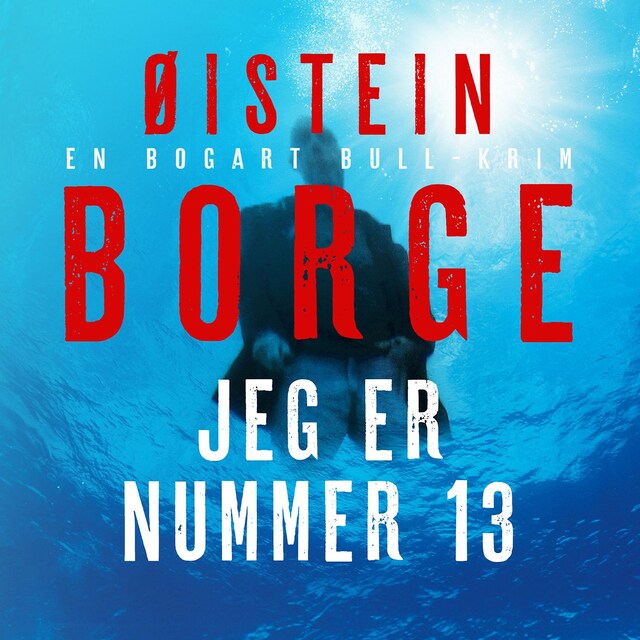 Bokomslag for Jeg er nummer 13