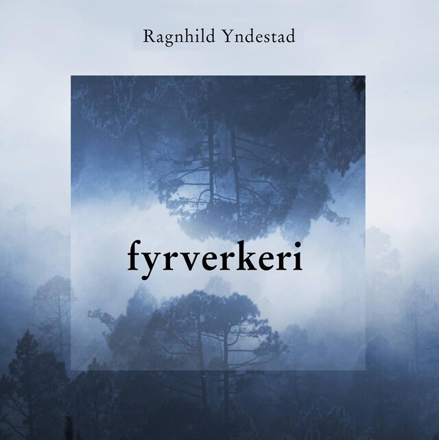 Bokomslag for Fyrverkeri