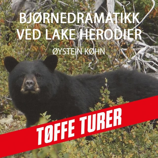 Bokomslag for Bjørnedramatikk ved Lake Herodier