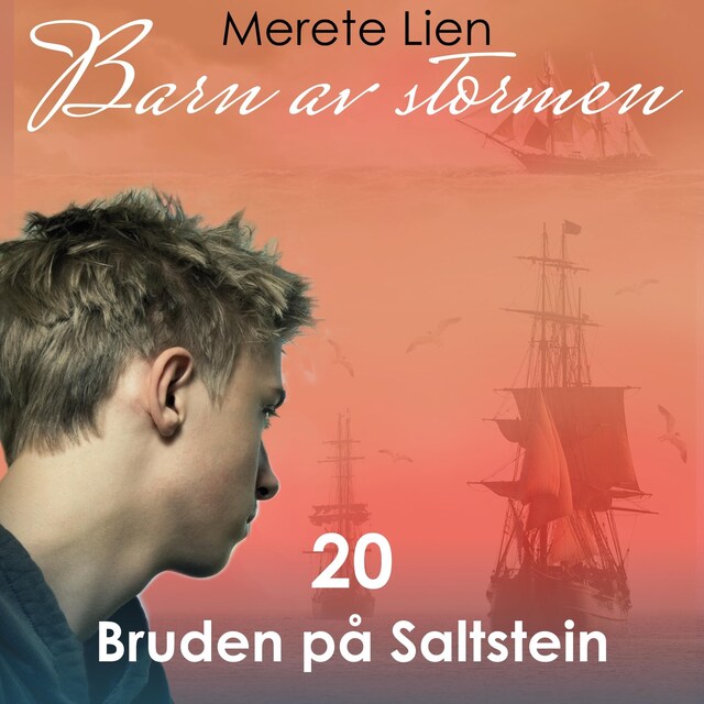 Bokomslag for Bruden på Saltstein