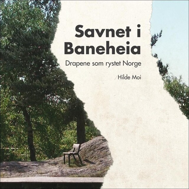 Savnet i Baneheia