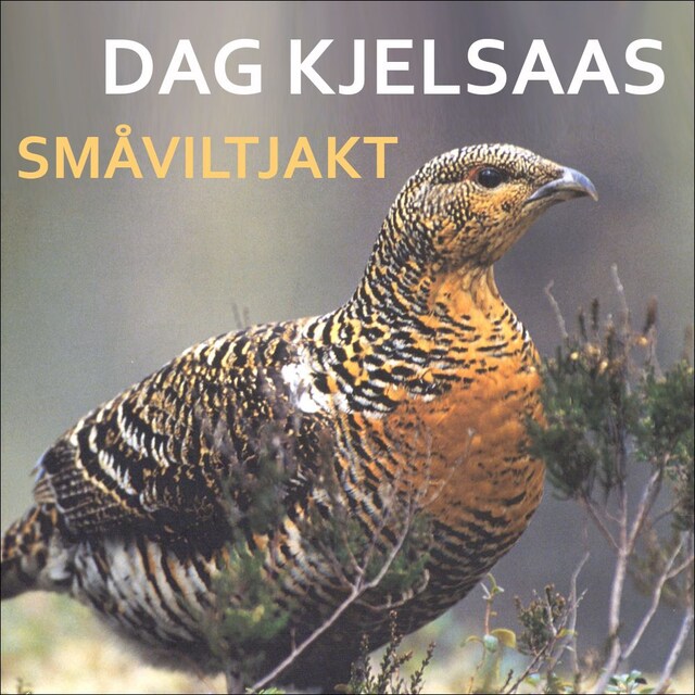 Bokomslag for Småviltjakt