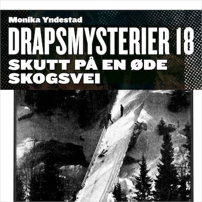 Skutt på en øde skogsvei