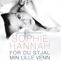For du stjal min lille venn