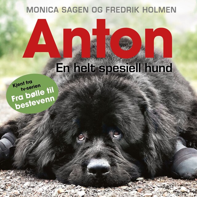 Bokomslag for Anton