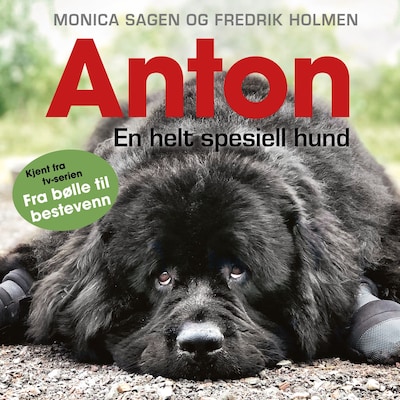 Anton – lydbok – Monica Sagen, Rannveig Revhaug, Fredrik Holmen
