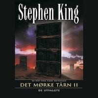 Det mørke tårn II