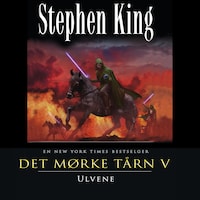 Det mørke tårn V