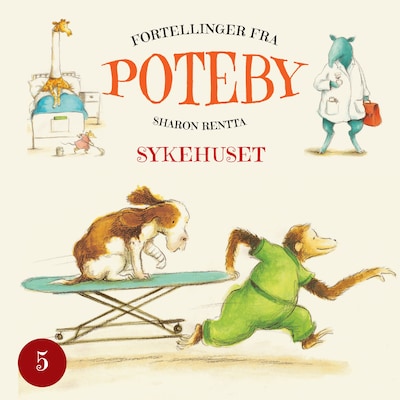 Sykehuset