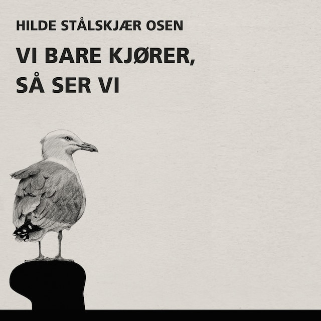 Bokomslag for Vi bare kjører, så ser vi