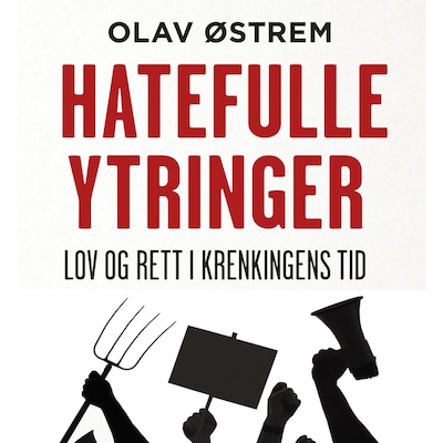 Hatefulle ytringer – lydbok – Olav Østrem