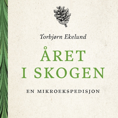 Året i skogen
