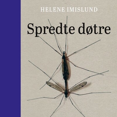 Spredte døtre – lydbok – Helene Imislund