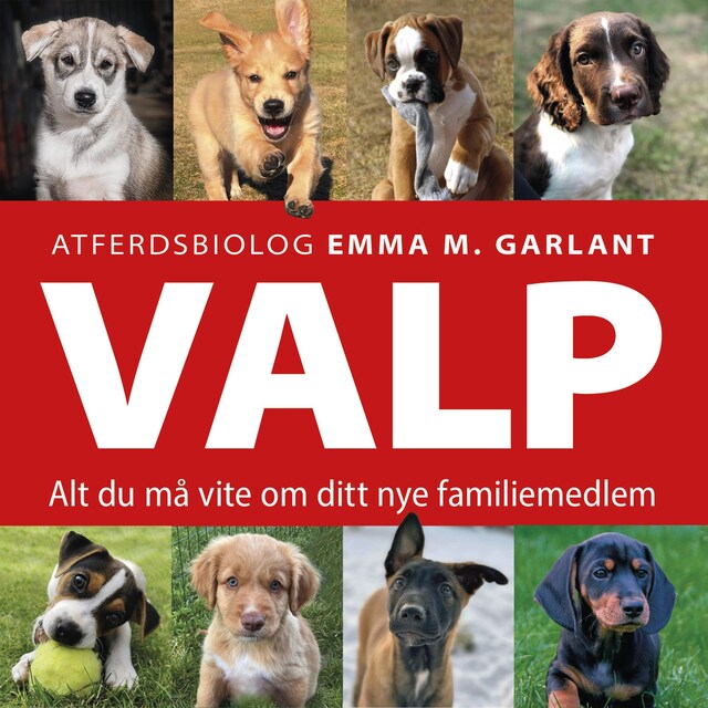 Bokomslag for Valp