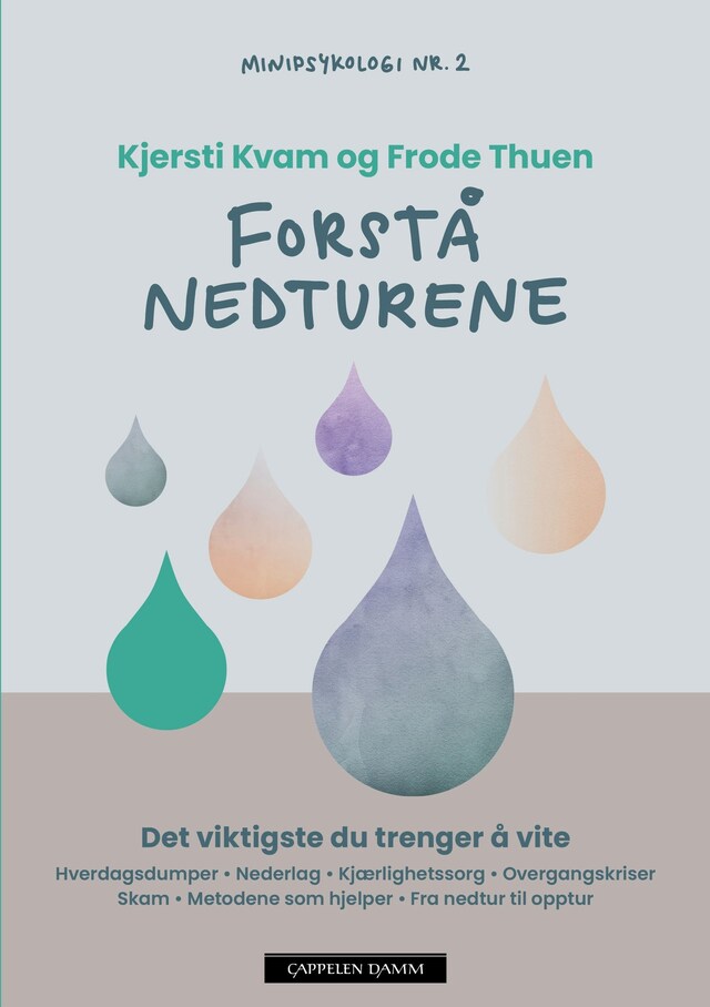 Bokomslag for Forstå nedturene