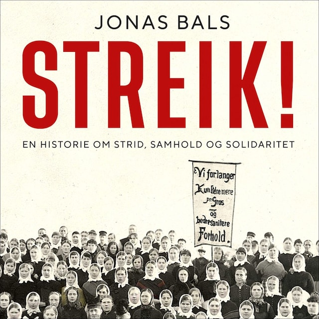 Bokomslag for Streik!