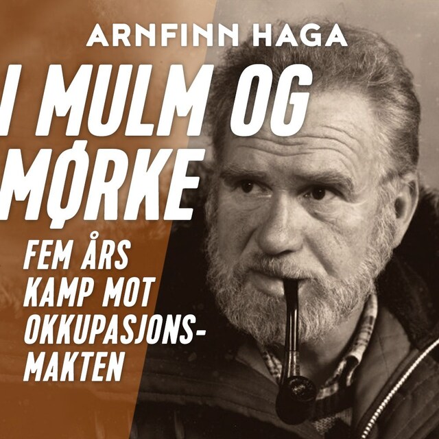 Bokomslag for I mulm og mørke