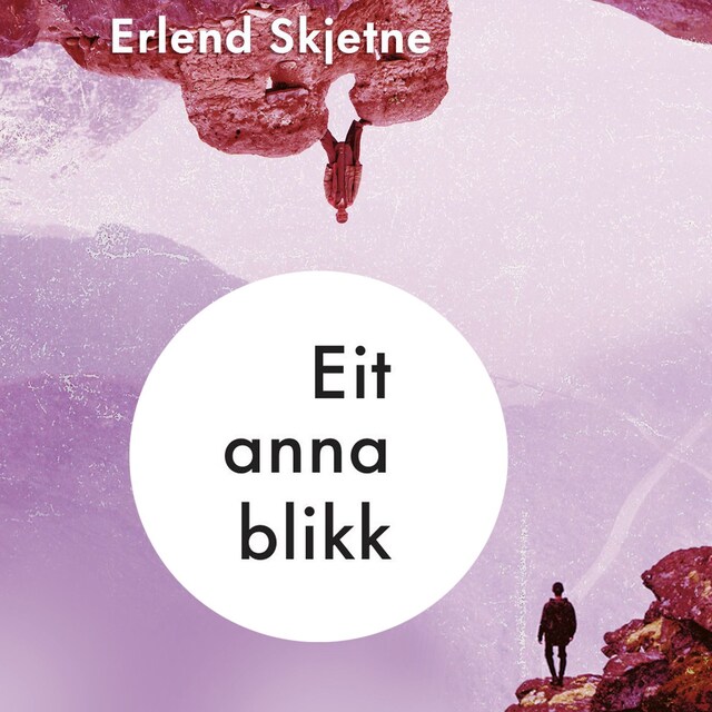 Bokomslag for Eit anna blikk