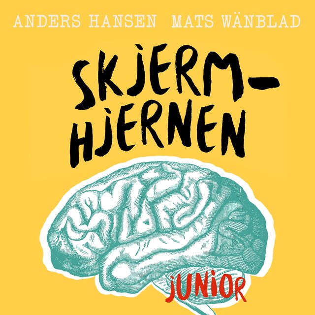 Bokomslag for Skjermhjernen junior