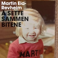 Å sette sammen bitene