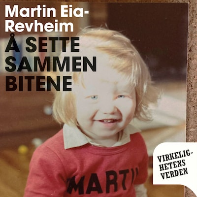 Å sette sammen bitene
