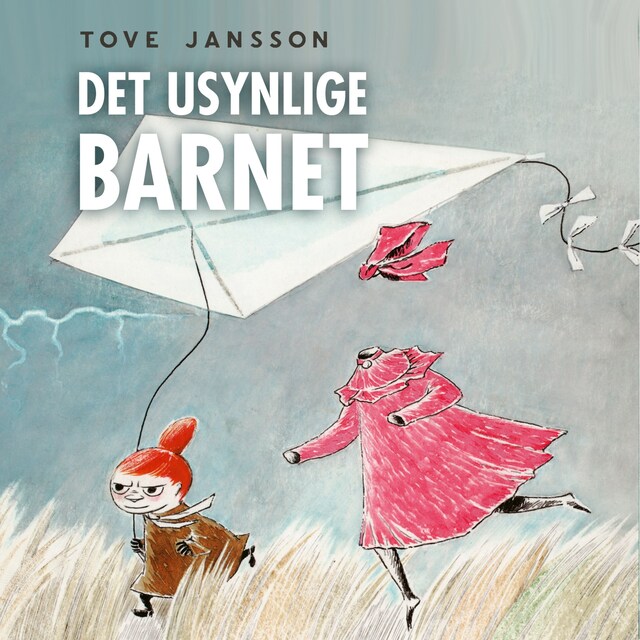 Bokomslag for Det usynlige barnet