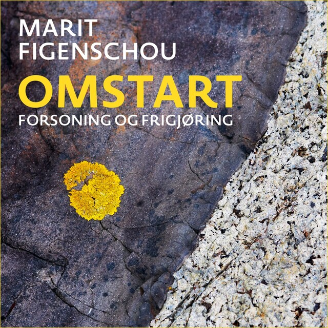 Bokomslag for Omstart