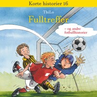 Fulltreffer!
