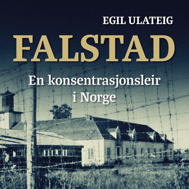 Bokomslag for Falstad