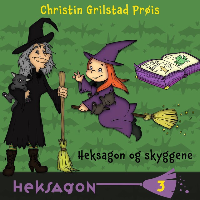 Bokomslag for Heksagon og skyggene