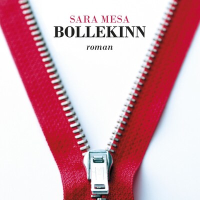 Bollekinn
