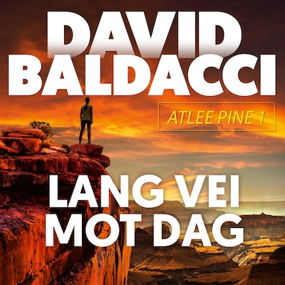 Lang vei mot dag