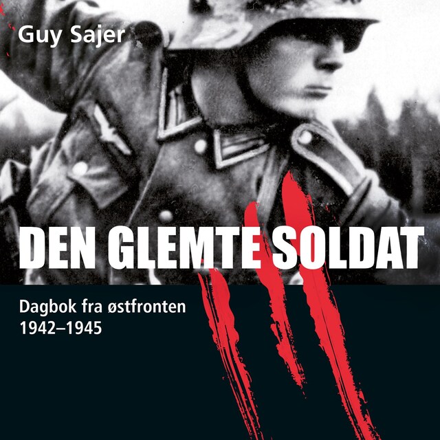 Bokomslag for Den glemte soldat