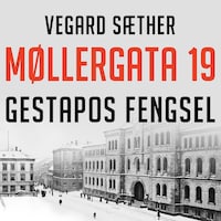 Møllergata 19