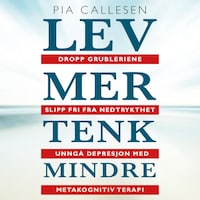 Lev mer tenk mindre