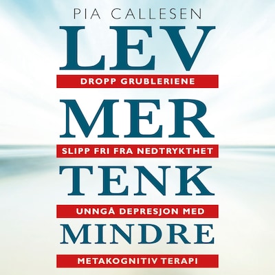 Lev mer tenk mindre